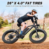 USA Stock 48V 13AH 500W Fat Tire Mountain Snow Full Suspension Ebike Multi Mode LCD Display Sport Ebike for Adults