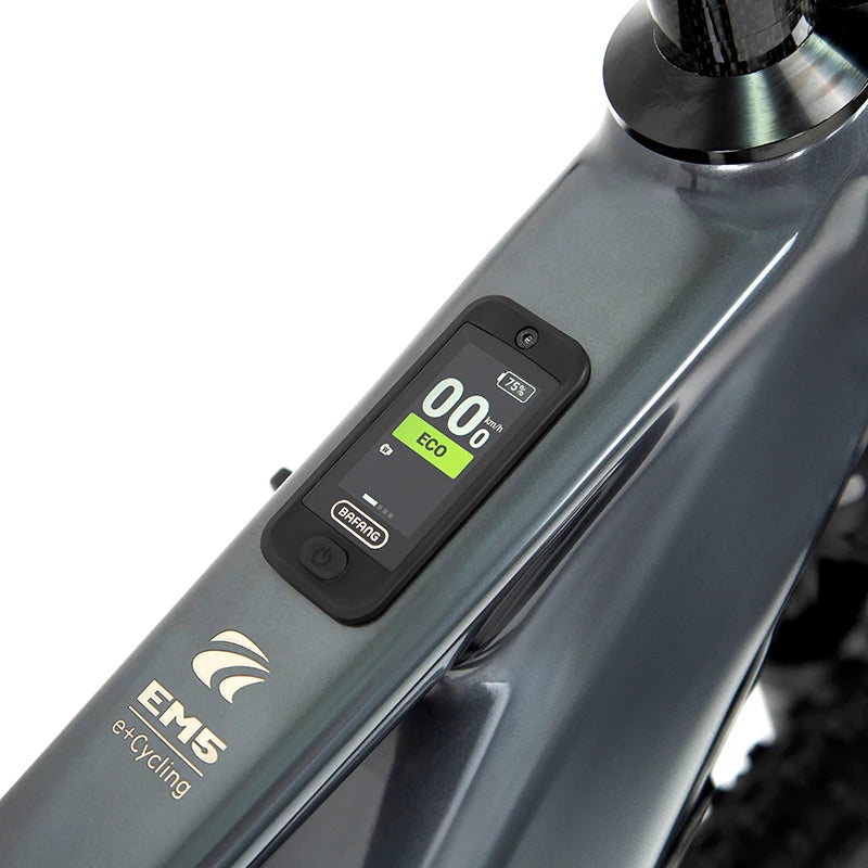 2025 New Model EM5-2nd electric hybrid bike 500W Bafang mid driver motor electric mountain bike for man