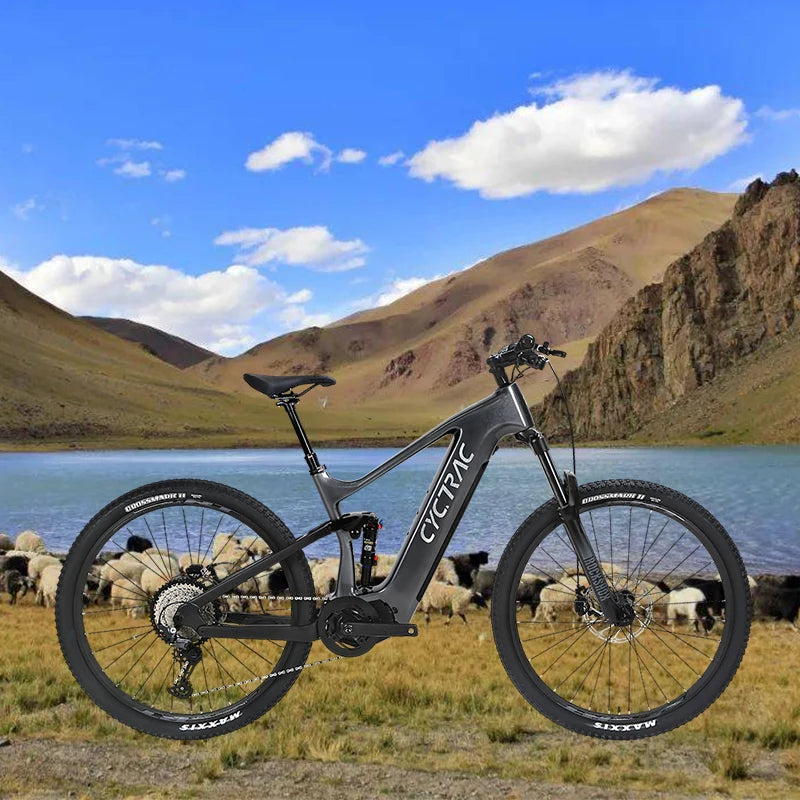 2025 EM10 Bafang 500W Power Supply Electric Mountain Bike for Men 48V Carbon Fibre Frame 48V Lithium Battery Central Electric