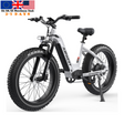 EU Warehouse Stock 750W BAFANG Brushless Motor Low Step Women Electric Snow Beach Mountain Bike 15AH 48V Integrated Adults Ebike