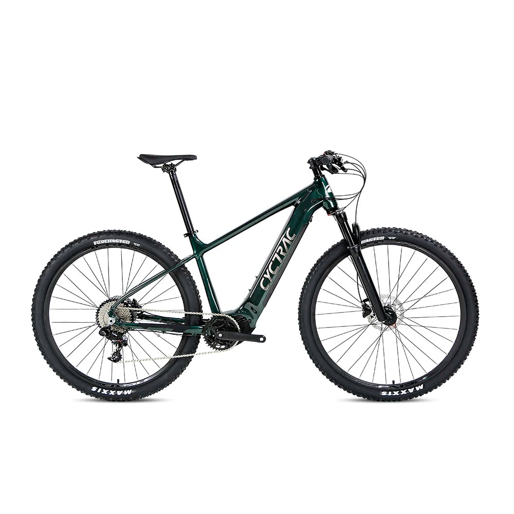 Elektrisches Fahrrad Electric E Bike Electric Bicycle Ebike Cycle Electric Bike Bafang Mid Fat Tire Dirt Mountain Bike