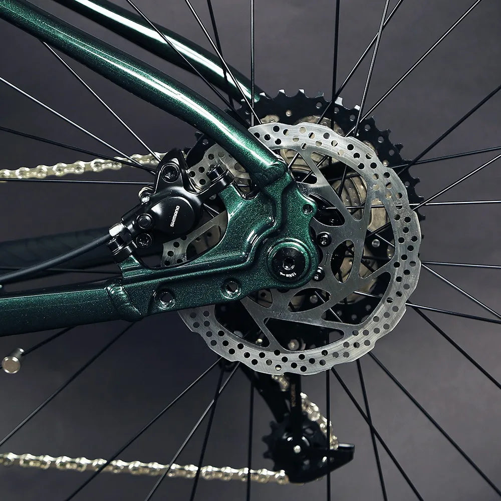 TWITTER High Quality Mountain E-bike 29er air Suspension Fork Alu Alloy Frame Mtb Bike Hybrid Electric Bike for Men