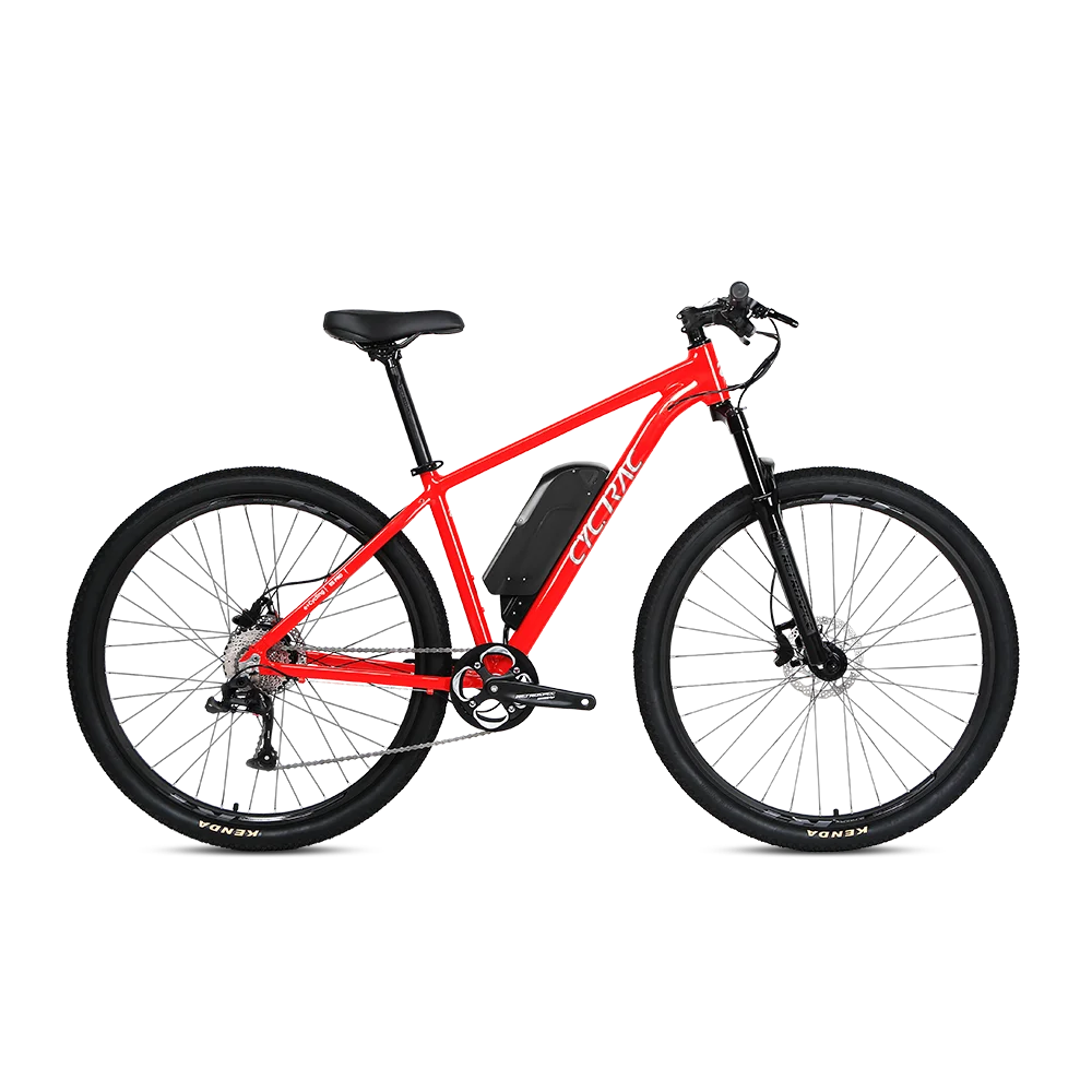 E5pro-Hub Motor Torque 36V 350W 10A 9 Speed Customize ODM/OEM Carbon Fork Electric Mountain Bike