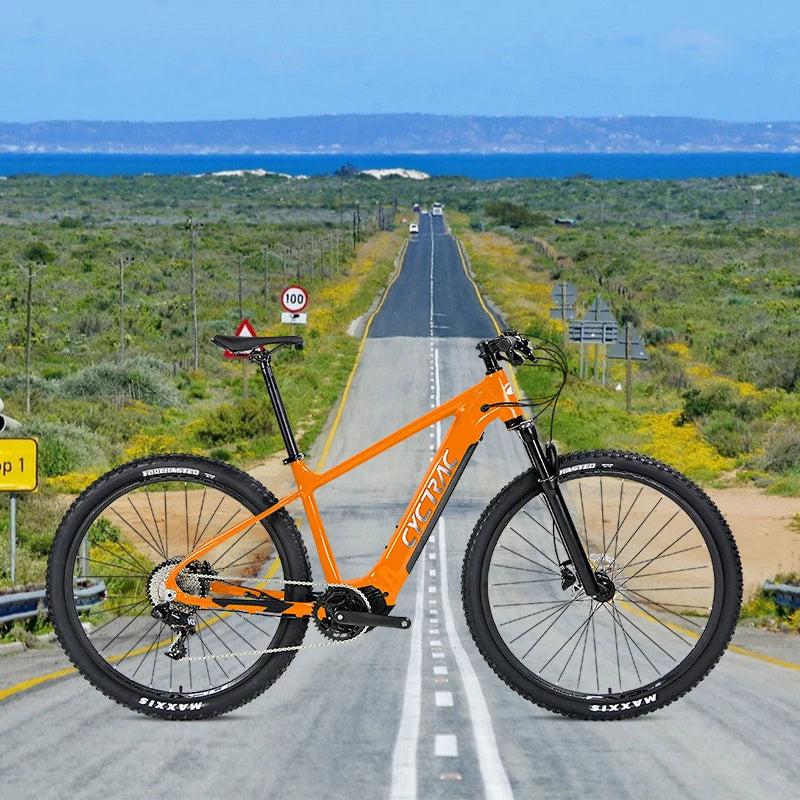 Chinese Electric E Bike Electric Bicycle Ebike Cycle Electric Bike Bafang Mid Fat Tire Dirt 27.5/29inch Mountain Bike