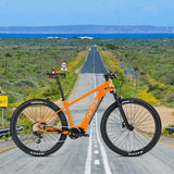 Chinese Electric E Bike Electric Bicycle Ebike Cycle Electric Bike Bafang Mid Fat Tire Dirt 27.5/29inch Mountain Bike