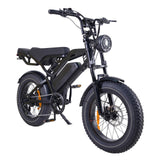 MOQ 200PCS China Factory OEM Customized Electric Mountain Bike 20*4.0 Fat Tires 250W Motor 48V 15.6Ah Battery Dual Seat 45km/h