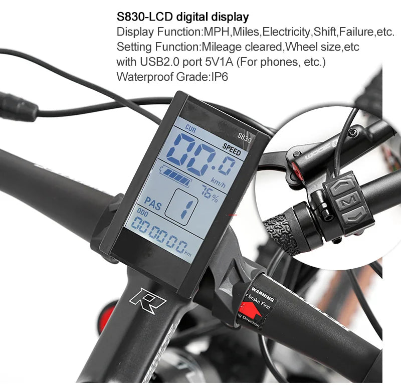 TWITTER E300 Ebike Aluminium Electric Bike MTB Torque-48V350W10A (36V350W13A) Rear Hub Motor Electric Mountain Bicycle for Sale