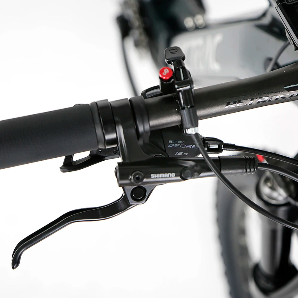 Bafang Electric Hybrid Bike Cycle EM5 Ebike E-mountain Bikes E-bike Electric Bike