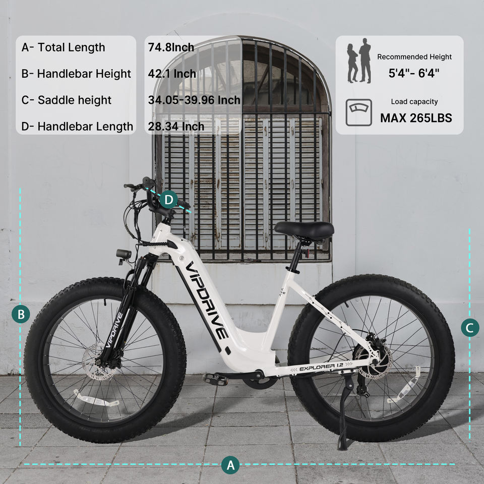 USA Stock 48V 15AH 750W 1000W Lithium Battery Fat Tire Mountain Ebike Multi Mode LCD Display Sport Fastest Ebike for Adults