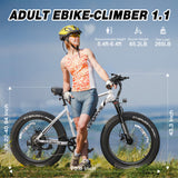 USA Stock 48V 13AH 500W 750W Fat Tire Mountain Ebike Multi Mode LCD Display Lights Led Sport Ebike for Sale