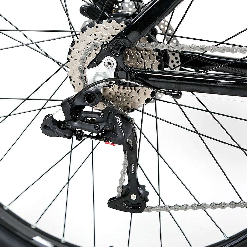 48V 250W-1000W Twitter E Bike Alloy 29er Cheap Electric Bicycle