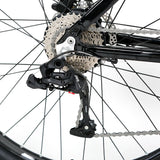 48V 250W-1000W Twitter E Bike Alloy 29er Cheap Electric Bicycle