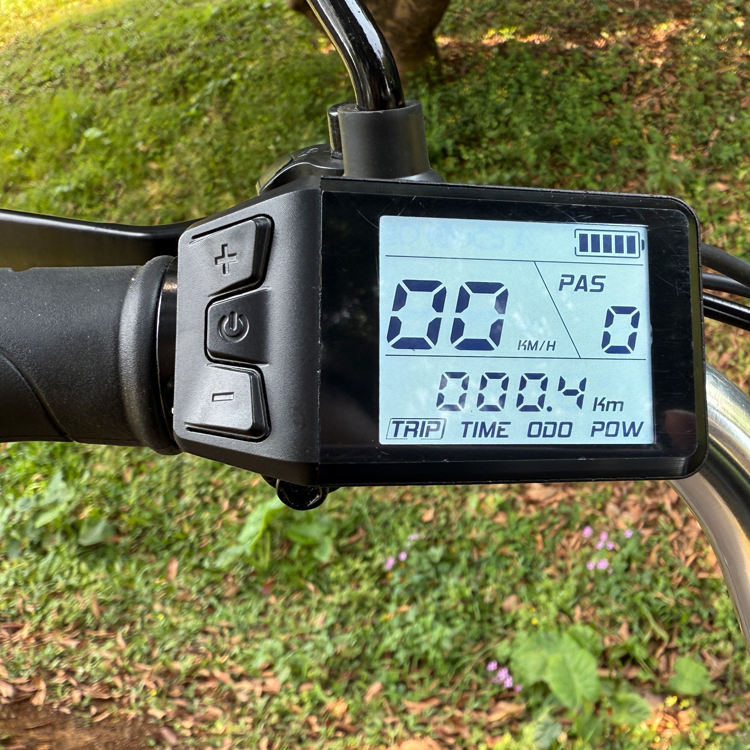 EU Warehouse 48V 350W 22Ah Lithium Battery 3-Wheel Tricycle Cargo Electric Bike with Disc Brake Foldable Brushless Motor