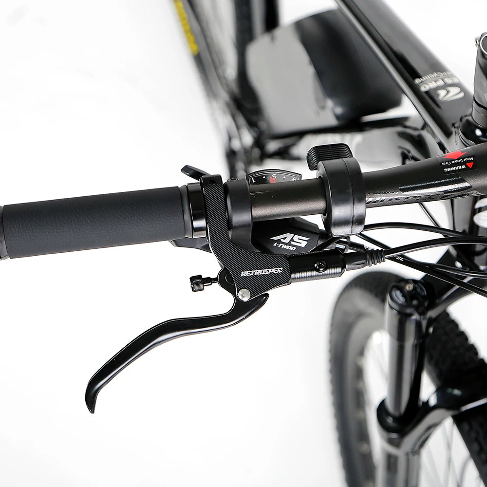 48V 250W-1000W Twitter E Bike Alloy 29er Cheap Electric Bicycle