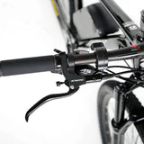 48V 250W-1000W Twitter E Bike Alloy 29er Cheap Electric Bicycle