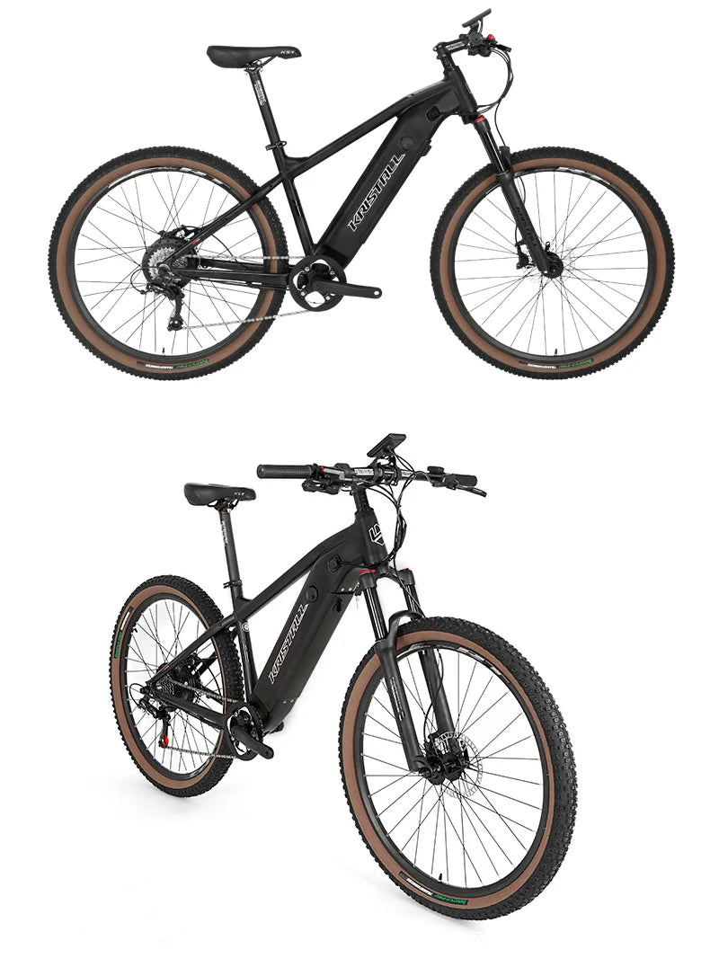 TWITTER E300 Ebike Aluminium Electric Bike MTB Torque-48V350W10A (36V350W13A) Rear Hub Motor Electric Mountain Bicycle for Sale