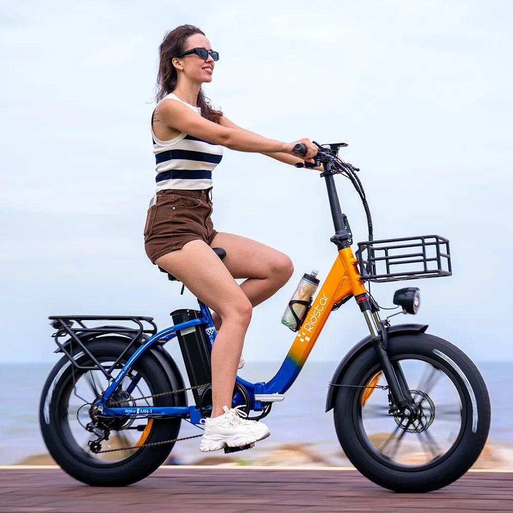500W 48V 20Ah 48 km/h 50-70km Reichweite Shimano 7-Gang Ridstar MN20 Elektro fahrrad mit 20*4,0 'Fat Tire