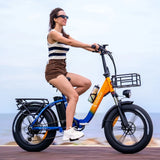 500W 48V 20Ah 48 km/h 50-70km Reichweite Shimano 7-Gang Ridstar MN20 Elektro fahrrad mit 20*4,0 'Fat Tire