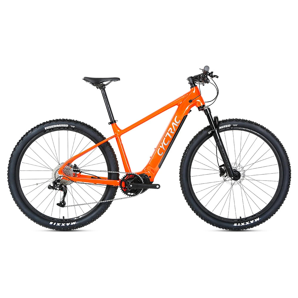 Wholesale 10 Speed Mid Bafang Motor Mountain Bike Electric Bicycle  36v Dropship
