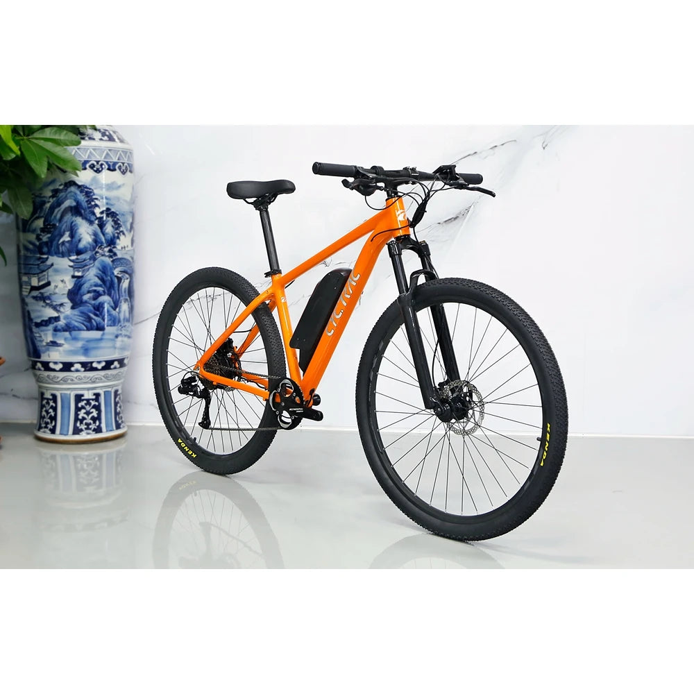 Factory Price KRISTALL Electric Bicycle Aluminum Alloy E Bike Frame 29 Inches  MTB 350W Electric Bike