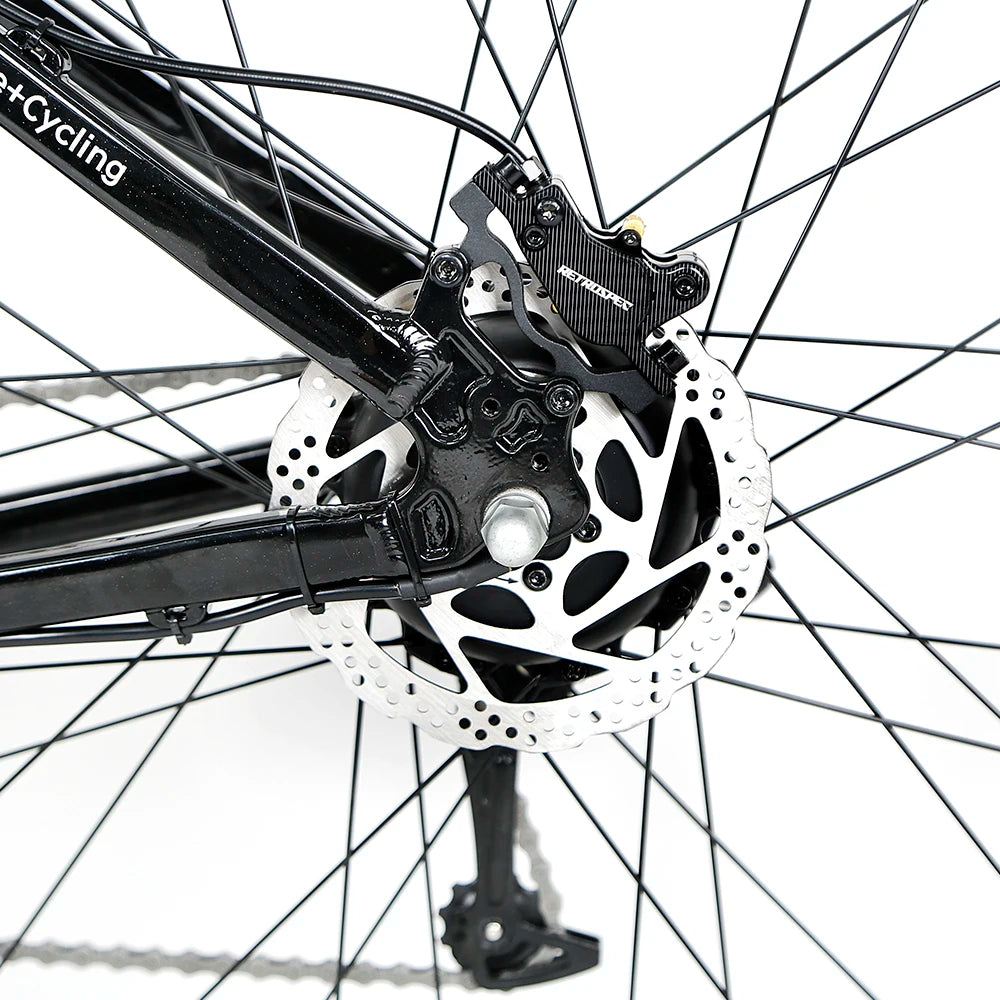Nice Design 29 Inch Aluminum Alloy Mountain Bicycle Electric Bike