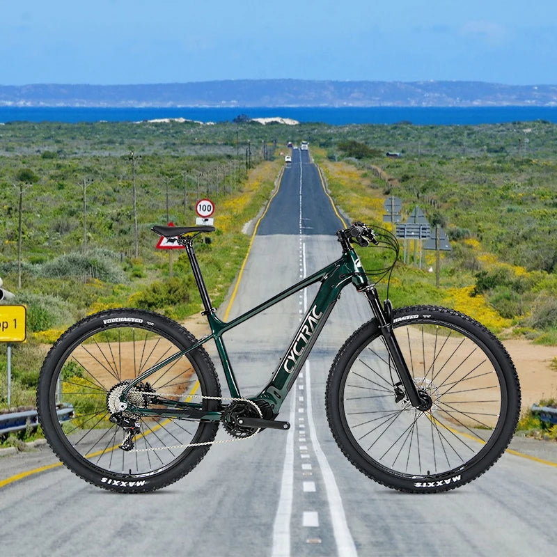 Bafang M510 Mid Motor Electric Bicycle  Cycle Ebike Bicycle Price Electric 48V MTB Mountain E-bike Electric Bike