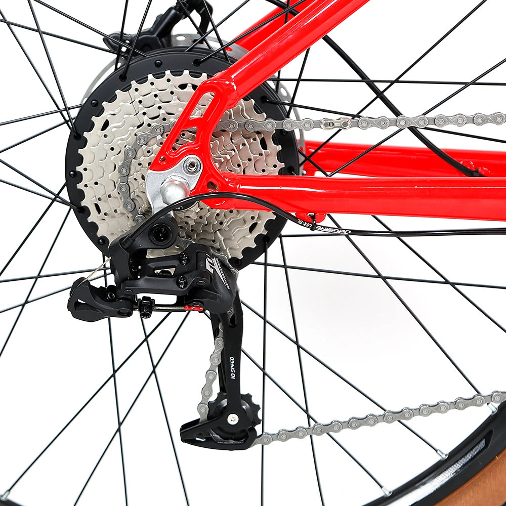 Customized  350W E Bike Motor Electric Bicycle Aluminum Alloy Frame  29er Mountain Bike