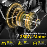 K201 E-Bike Cityrad KAISDA Klapprad 20 Zoll Elektrofahrrad mit 36V 20.8Ah Abnehmbarer Akku