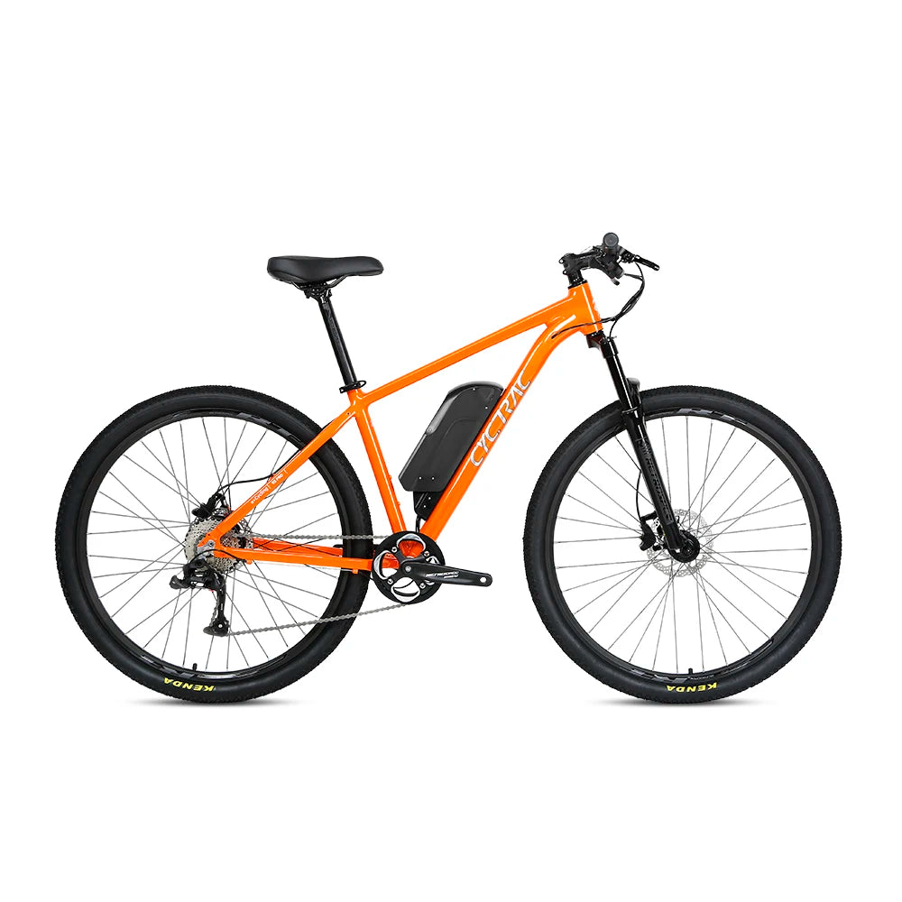 48V 250W-1000W Twitter E Bike Alloy 29er Cheap Electric Bicycle