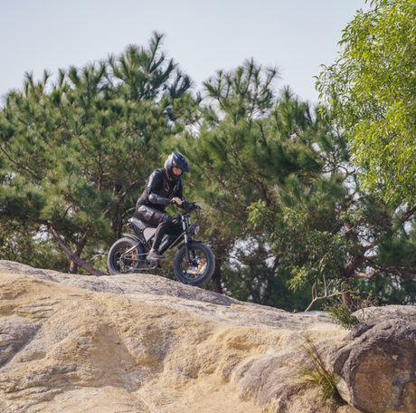 EU UK US Warehouse Q20 standard 1000W 20* 4 inch fat tires 48V 20Ah  electric bike with 36 mph top speed