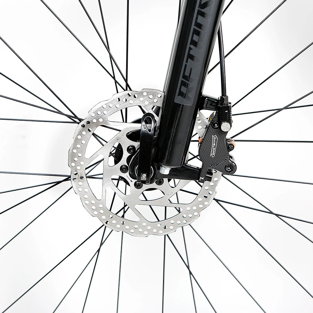 48V13A 750W-1000W  Bafang Mid Drive Motor  29er  Electric Mountain Bike Bicycle