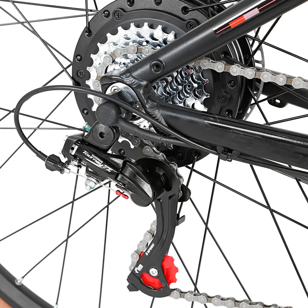 TWITTER E300 Ebike Aluminium Electric Bike MTB Torque-48V500W13A Rear Hub Motor Electric Mountain Bicycle for Sale