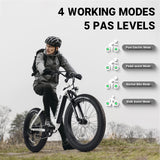 USA Stock 48V 15AH 750W 1000W Lithium Battery Fat Tire Mountain Ebike Multi Mode LCD Display Sport Fastest Ebike for Adults