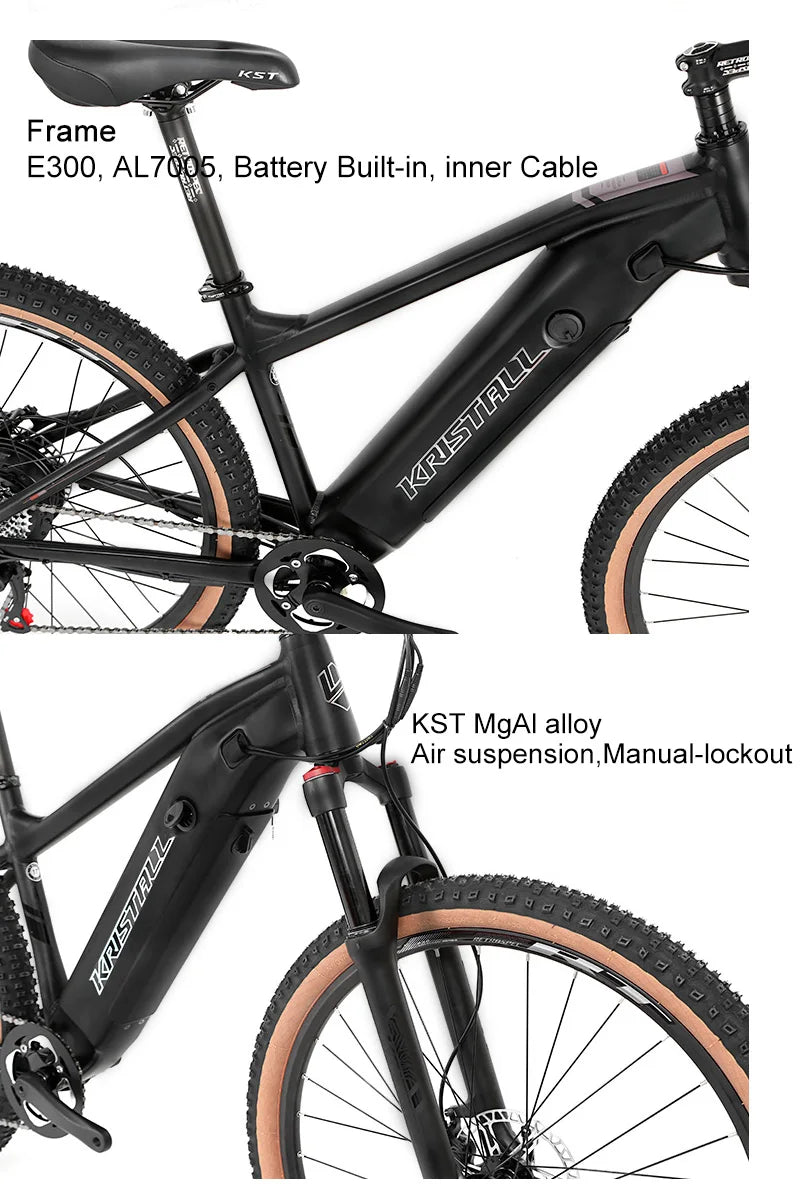 TWITTER E300 Ebike Aluminium Electric Bike MTB Torque-48V350W10A (36V350W13A) Rear Hub Motor Electric Mountain Bicycle for Sale