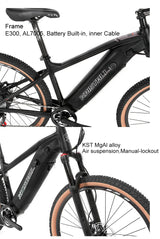 TWITTER E300 Ebike Aluminium Electric Bike MTB Torque-48V350W10A (36V350W13A) Rear Hub Motor Electric Mountain Bicycle for Sale