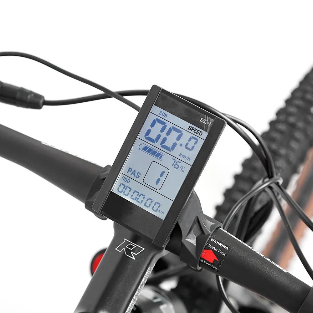 TWITTER E300 Ebike Aluminium Electric Bike MTB Torque-48V500W13A Rear Hub Motor Electric Mountain Bicycle for Sale
