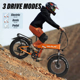 Europe Electric City Bike 250W Fast Shipping Bicicleta Full Suspension Cheap Motor Ebike 2025 Upgrade 48V 13AH Off Road Ebike