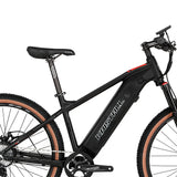 China Electric Bicycle Bike Cheap Price E300-Torque 36V13A350W Power Optional Electric Mountain Bike Hybrid Bike
