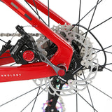 Good Looking 700C Carbon Fiber Hidden Racing Road Bike Bicycle