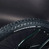 TWITTER High Quality Mountain E-bike 29er air Suspension Fork Alu Alloy Frame Mtb Bike Hybrid Electric Bike for Men