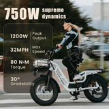 Fucare Libra US Stock 750W 400LBS Max Load Fat Tire Full Suspension E-Bike 48V 20Ah Lithium Battery Long Range Electric Bike