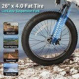 Vipdrive USA Warehouse Stock Drop Shipping Free Shipping 48V 15AH Best Battery Low Step Women 750W MTB Snow Beach Mountain Bike