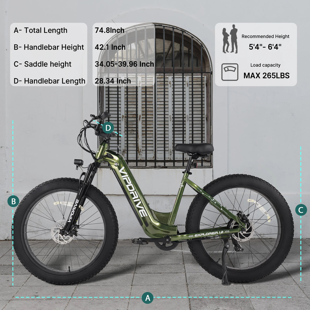 Vipdrive EU Warehouse Drop Shipping Downhill EBike MTB Removable 48V 15AH Best Battery 750W Women Low Step Snow Beach Bike