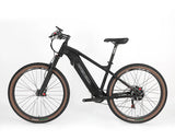 2022 Mtb Electric Internal Battery 350V / 500W Rear Motor Mtb 29er Ebike Mountainbike E Electric Bicycle