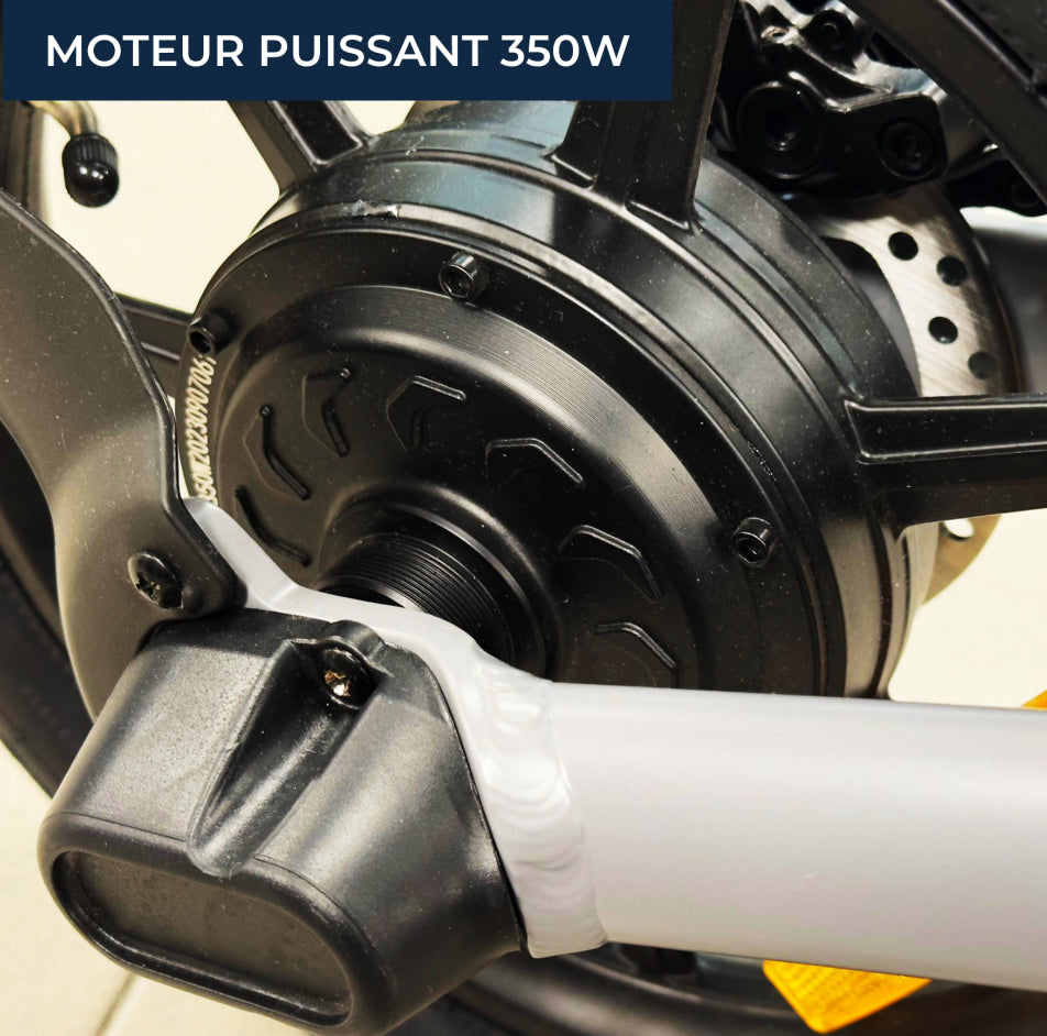 YEEP.ME Q1 350W Folding Electric Bike with 36V 7.8ah 280WH Removable Battery Maxspeed 25km/h Aluminum Frame 35*56cm Wheel Size