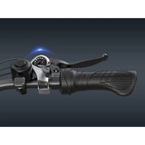 Factory Wholesale Free Shipping Throttle Electric Mountain Bike 48V 16.8AH  26 Inch Fat Tire for Adults Europe Warehouse