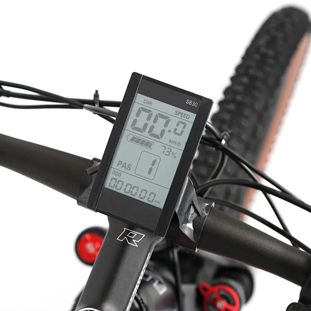 China Electric Bicycle Bike Cheap Price E300-Torque 36V13A350W Power Optional Electric Mountain Bike Hybrid Bike