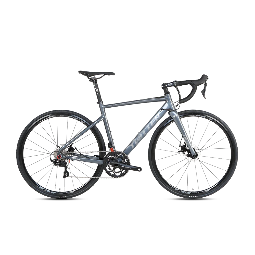 2019 Disc Carbon Road Bike Complete Bicycle  With SH1MANO Groupset, 22 Speed Carbon Bike