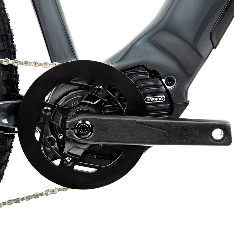 2025 CYCTRAC EM5-2nd Electric Bicycle 29 Inches Bafang-C030 Built in Monitor Alu Alloy Electric Bike 29er