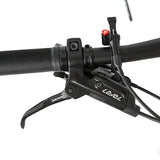 Twitter Bicycle Factory Downhill MTB Frame 29 Mens Mountain Bike WARRIORpro GX-12speed Carbon Wholesale 29er Mountain Bikes
